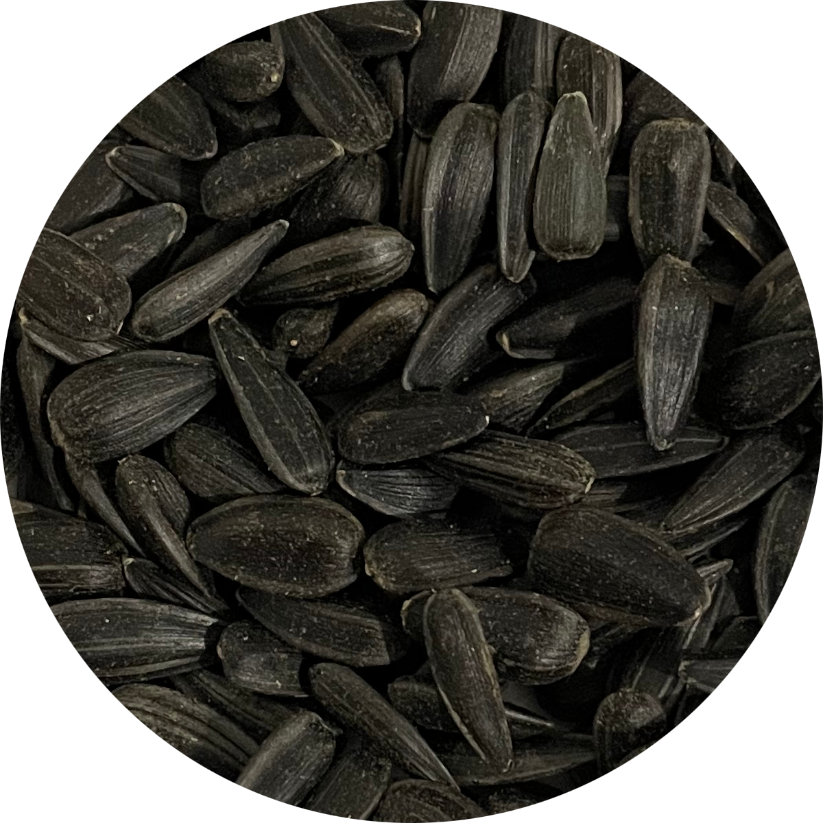 Peace - Black Oil Sunflower Seeds